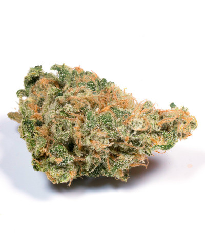 Семена сорта Tahoe Cure fem (Pyramid Seeds) — изображение 4