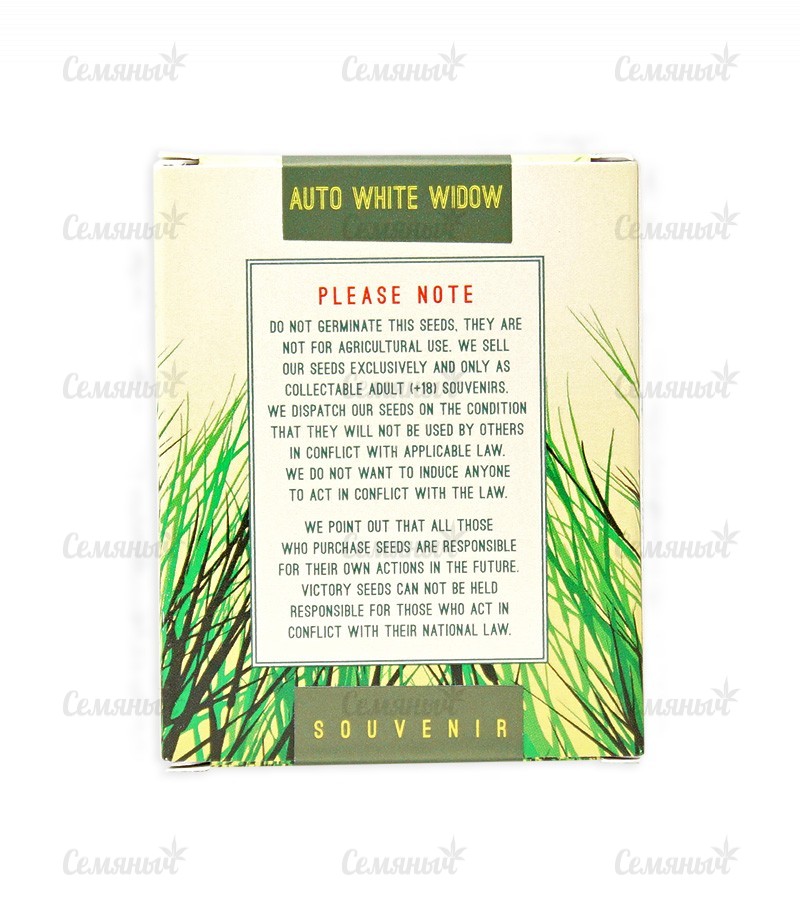 Auto White Widow fem (Victory Seeds) — изображение 2