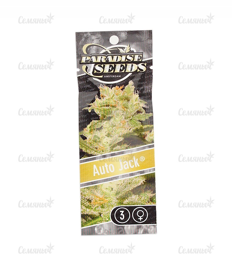 Семена сорта Afghan Kush X White Widow (World of Seeds) — изображение 2