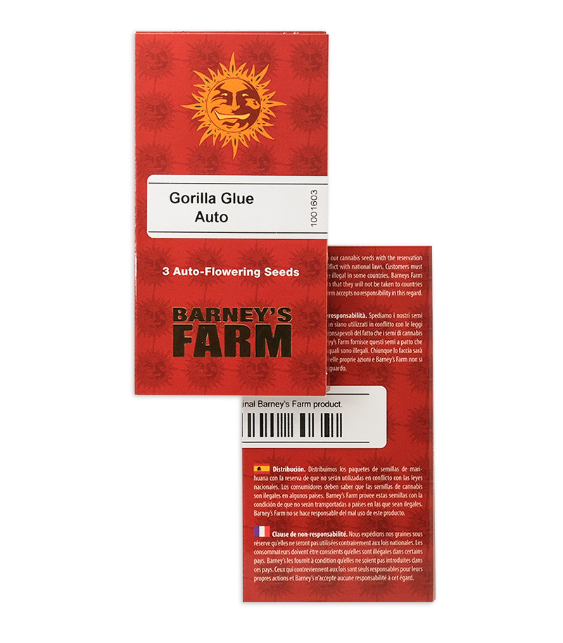 Gorilla Glue Auto fem (Barney's Farm) — изображение 2