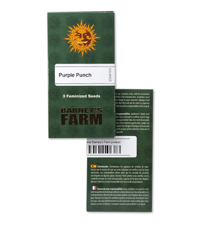 Purple Punch fem (Barney's Farm) — изображение 2