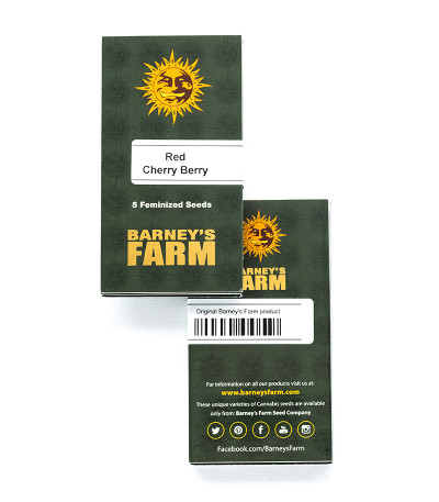 Семена сорта Red Cherry Berry fem (Barney's Farm) — изображение 2