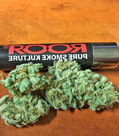Strawberry Cake fem (Heavyweight Seeds) — изображение 3