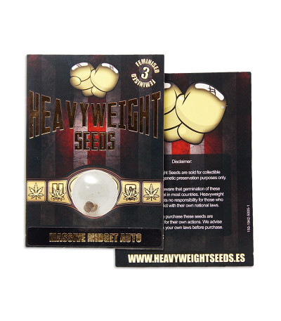 Massive Midget auto fem (Heavyweight Seeds) — изображение 2