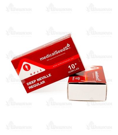 Семена сорта Deep Neville regular (Medical Seeds) — изображение 2