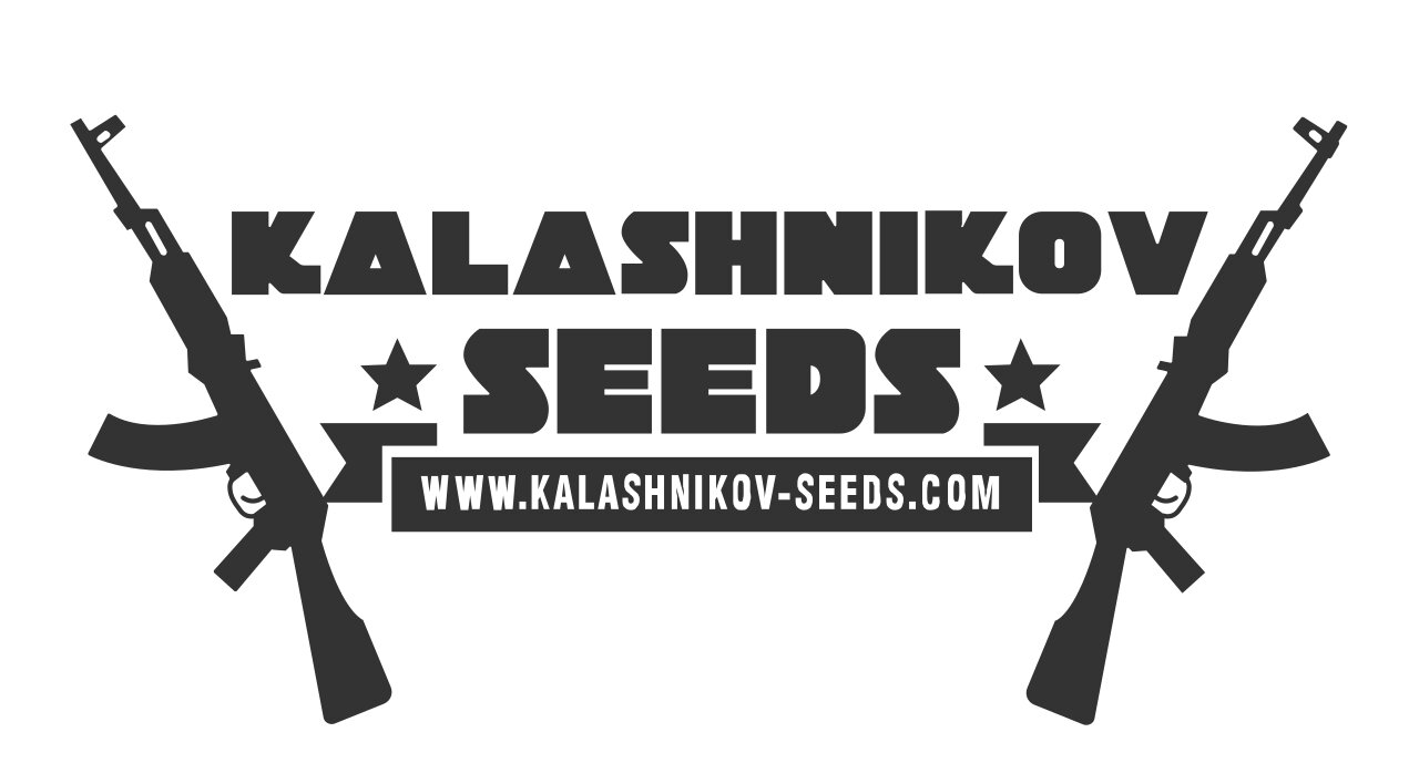 Baikal Express fem (Kalashnikov Seeds) семена конопли