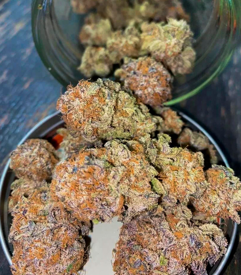 Ethos Cookies R2 fem (Ethos Genetics) семена конопли — изображение 5