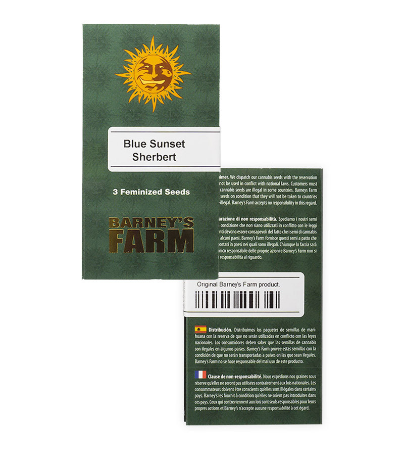 Blue Sunset Sherbert fem (Barney's Farm) семена конопли — изображение 2