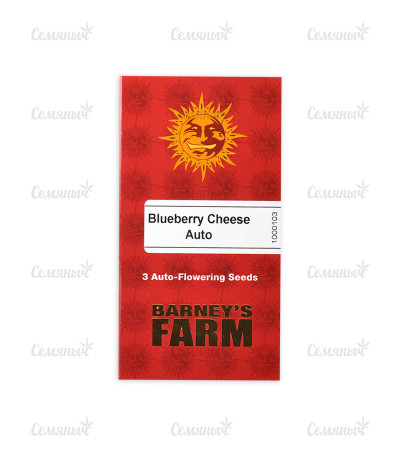 Blueberry Cheese Auto (Blue Cheese Auto) fem (Barney's Farm) — изображение 2