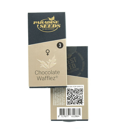 Chocolate Wafflez fem (Paradise Seeds) семена конопли — изображение 2