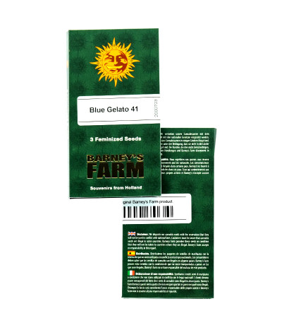 Blue Gelato 41 fem (Barney's Farm) семена конопли — изображение 2