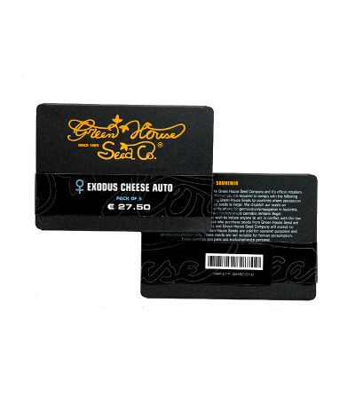 Семена сорта Exodus Cheese Auto fem (GHS) — изображение 2