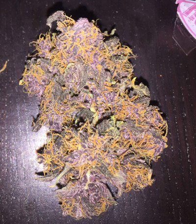 Purple Lemonade Auto fem (FastBuds) — изображение 4