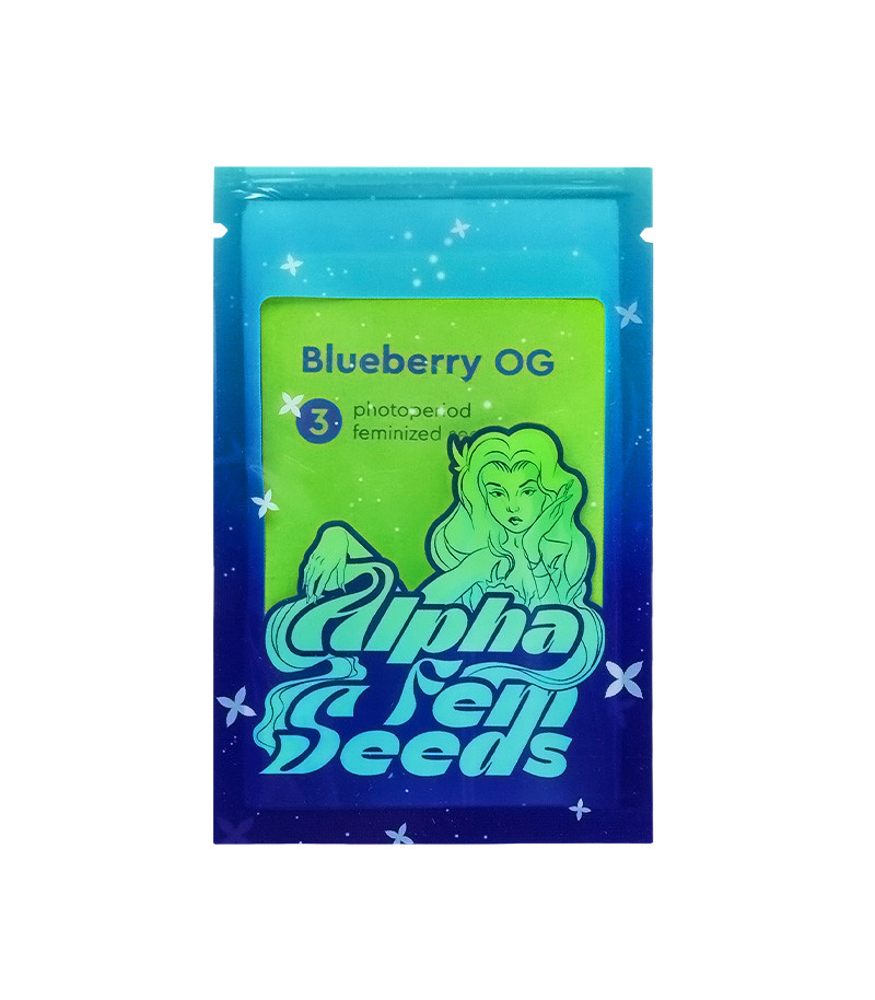Семена сорта Blueberry OG fem (AlphaFem Seeds) — изображение 2