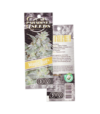 Magic Bud fem (Paradise Seeds) семена конопли — изображение 2
