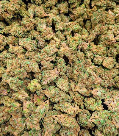 Super Boof fem (Barney's Farm) семена конопли — изображение 4