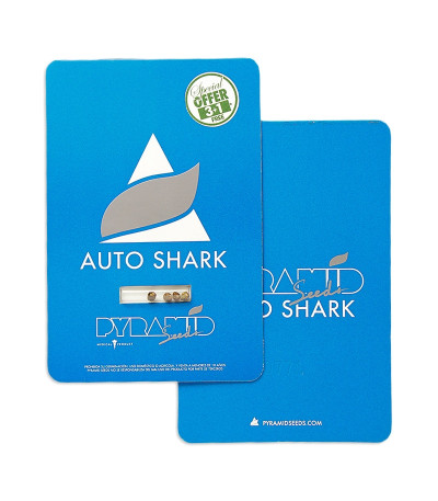 Auto Shark fem (Pyramid Seeds) семена конопли — изображение 2