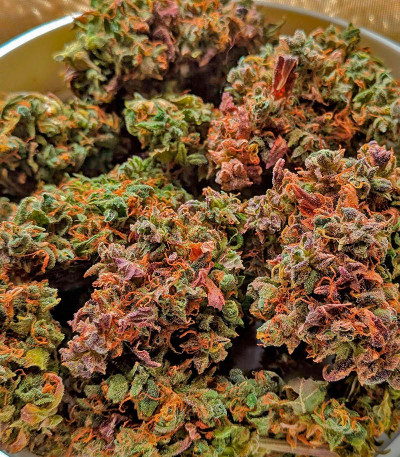 CBD Apple Betty Auto fem (Herbies Seeds) семена конопли — изображение 3