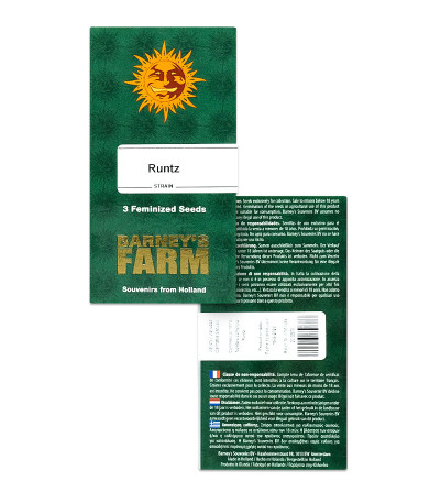 Runtz fem (Barney's Farm) семена конопли — изображение 2