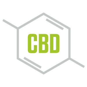 Сорта конопли с высоким CBD