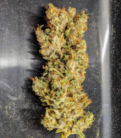 Ghost Chem OG Autoflower fem (Seedkeepers) семена конопли — изображение 7