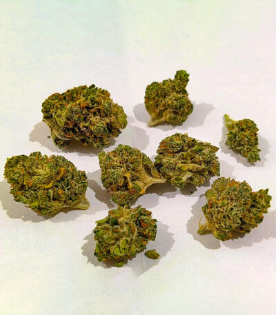 RudeBoi OG F1 fem (Seedkeepers) семена конопли — изображение 6