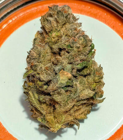 Garlic Cookies fem (Barney's Farm) семена конопли — изображение 4