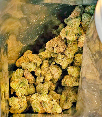 Garlic Cookies fem (Barney's Farm) семена конопли — изображение 5