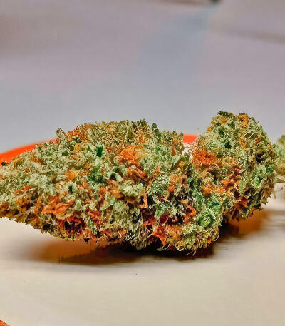 Insane OG Strain (Barney's Farm) семена конопли — изображение 7