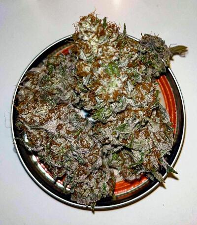 Booberry Cookies RBX fem (Ethos Genetics) семена конопли — изображение 4