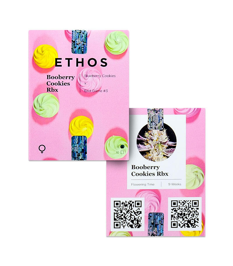 Booberry Cookies RBX fem (Ethos Genetics) семена конопли